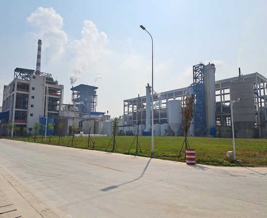 Paper pulp production from Khuzestan green paper bagasse